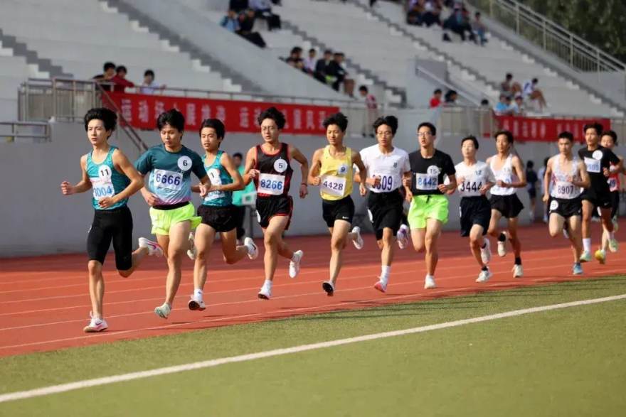 中超争冠冲刺期战力榜：六支球队的阵容深度与赛程解析